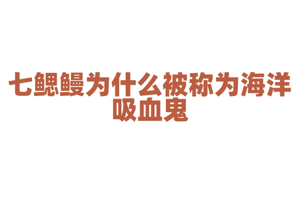 七鳃鳗为什么被称为海洋吸血鬼，它的吸血方式和生存习性是什么？