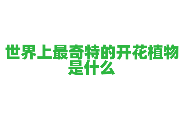 世界上最奇特的开花植物是什么？