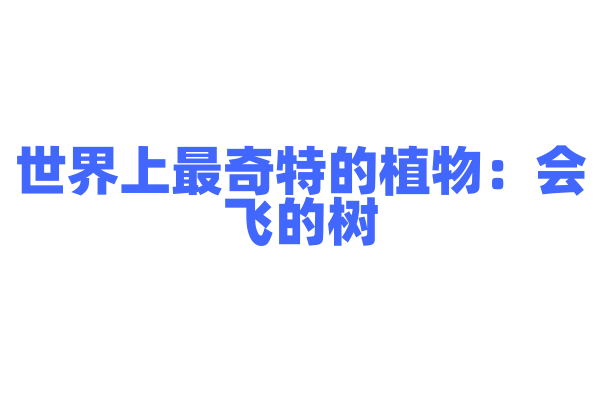 世界上最奇特的植物：会飞的树