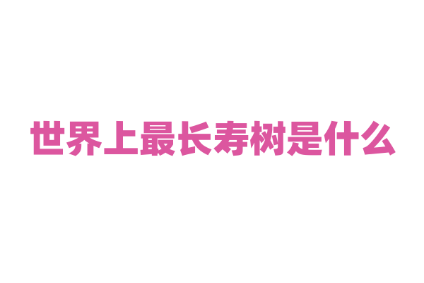 世界上最长寿树是什么？