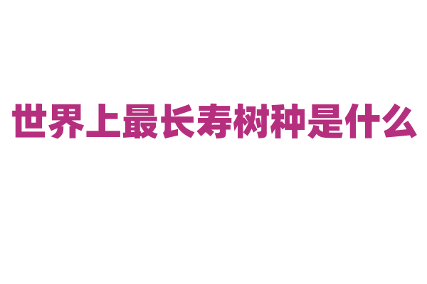 世界上最长寿树种是什么？