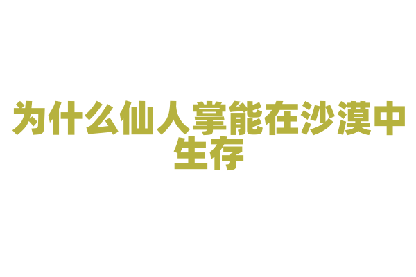 为什么仙人掌能在沙漠中生存？