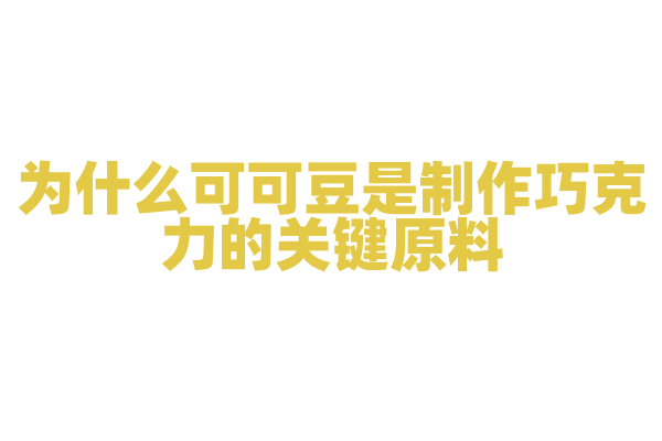 为什么可可豆是制作巧克力的关键原料？