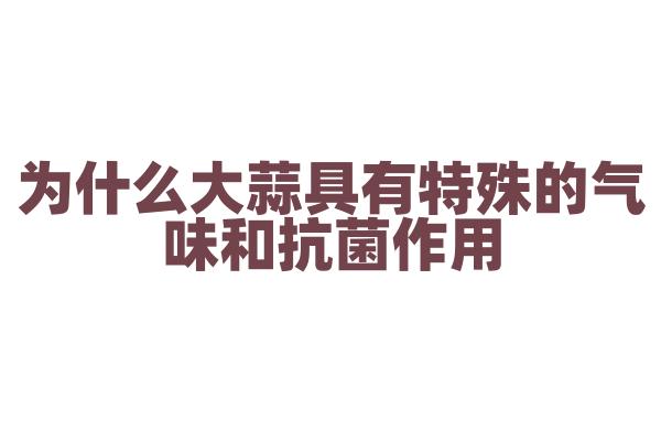 为什么大蒜具有特殊的气味和抗菌作用？