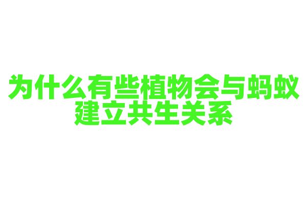 为什么有些植物会与蚂蚁建立共生关系？