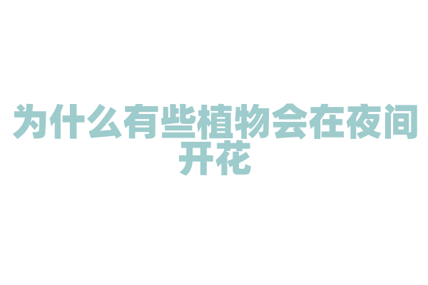 为什么有些植物会在夜间开花？