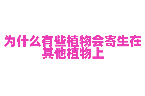 为什么有些植物会寄生在其他植物上？
