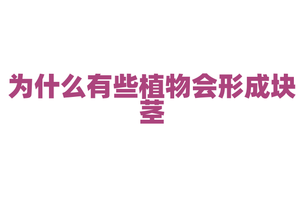 为什么有些植物会形成块茎？