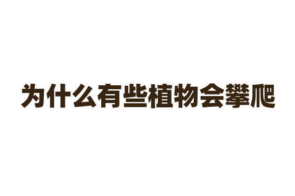 为什么有些植物会攀爬？