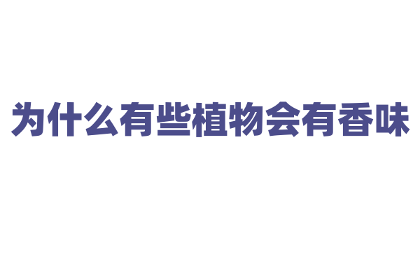 为什么有些植物会有香味？