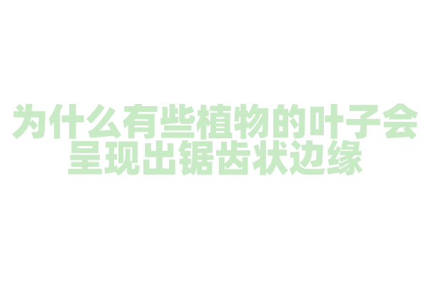 为什么有些植物的叶子会呈现出锯齿状边缘？