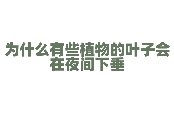为什么有些植物的叶子会在夜间下垂？