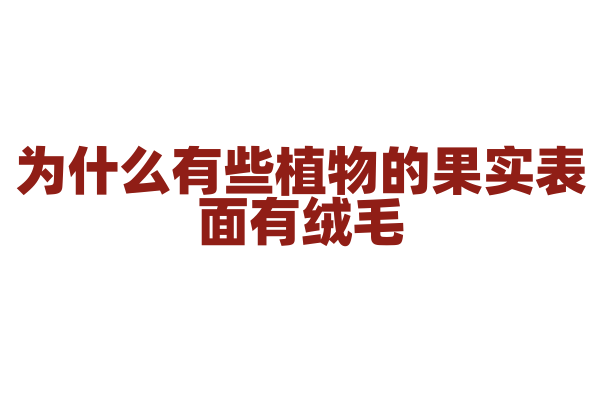 为什么有些植物的果实表面有绒毛，有什么作用？