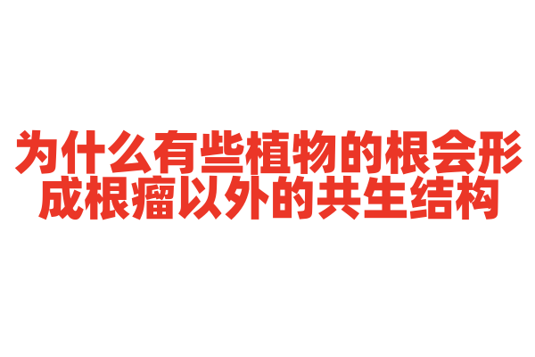为什么有些植物的根会形成根瘤以外的共生结构？