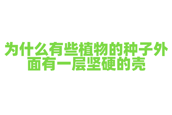 为什么有些植物的种子外面有一层坚硬的壳？