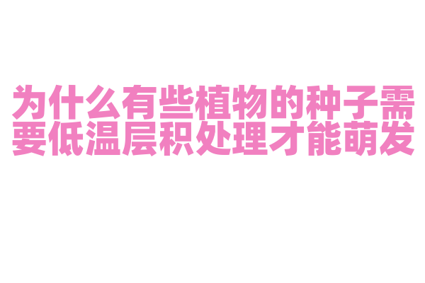 为什么有些植物的种子需要低温层积处理才能萌发？