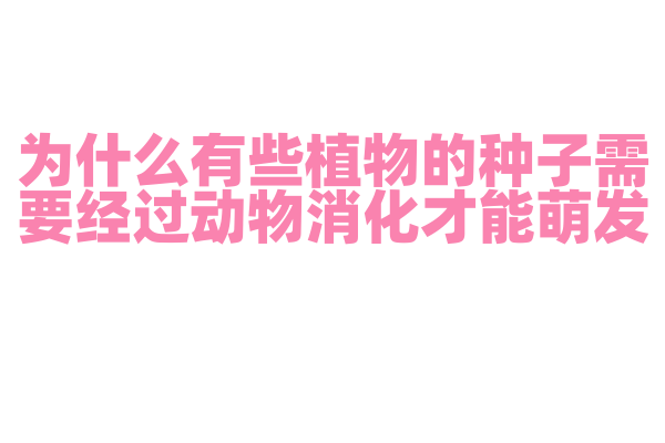 为什么有些植物的种子需要经过动物消化才能萌发？