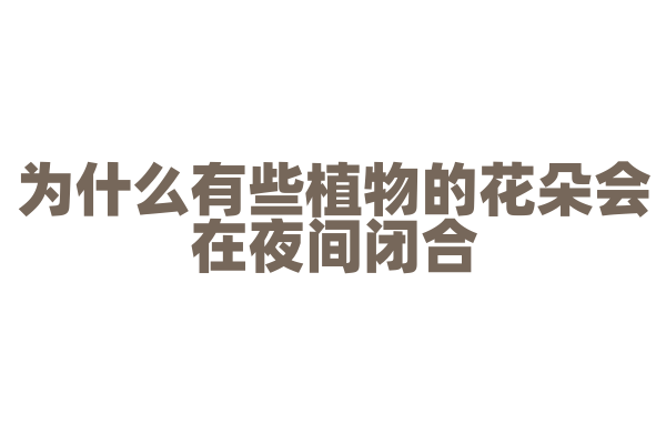 为什么有些植物的花朵会在夜间闭合？