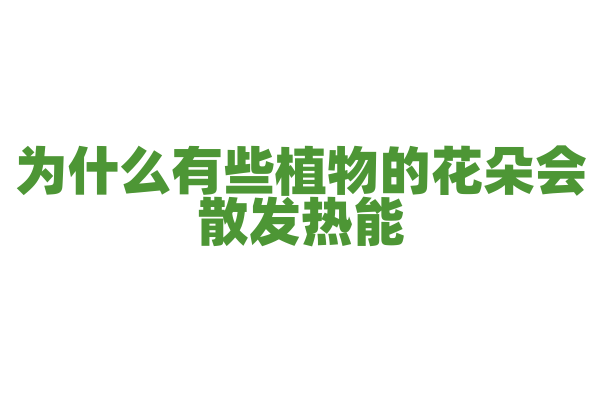为什么有些植物的花朵会散发热能？