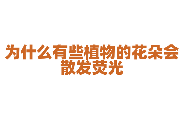 为什么有些植物的花朵会散发荧光？