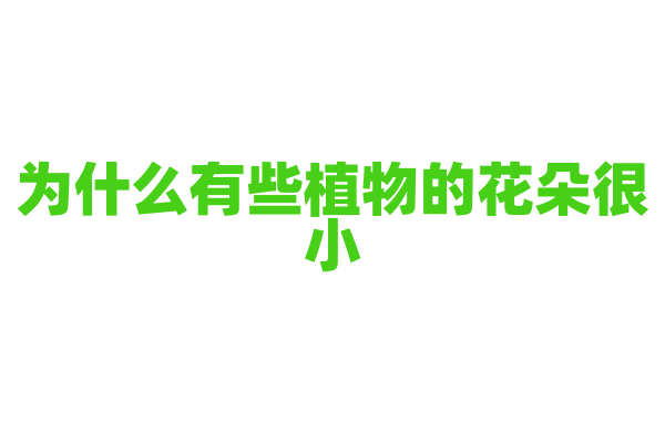 为什么有些植物的花朵很小？