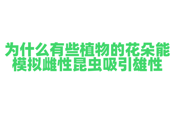 为什么有些植物的花朵能模拟雌性昆虫吸引雄性？