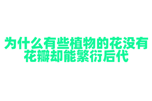 为什么有些植物的花没有花瓣却能繁衍后代？