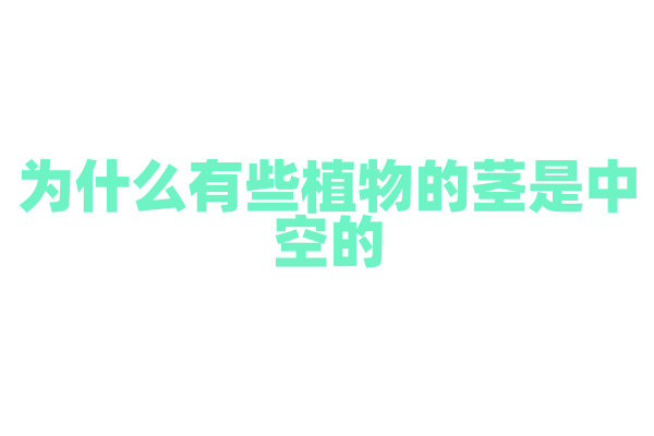 为什么有些植物的茎是中空的？