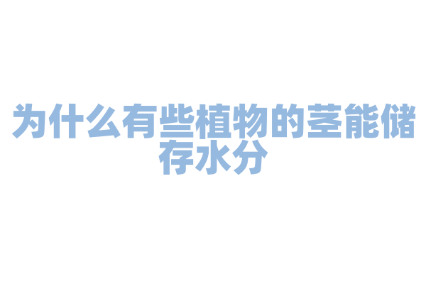 为什么有些植物的茎能储存水分，结构如何？