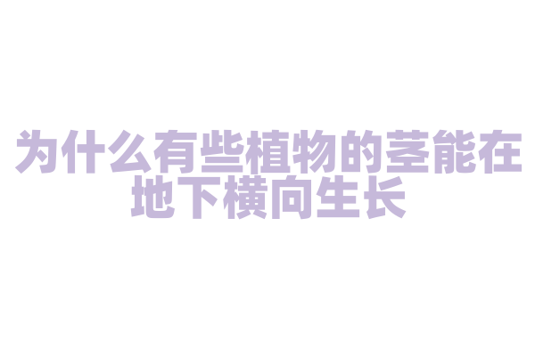 为什么有些植物的茎能在地下横向生长？