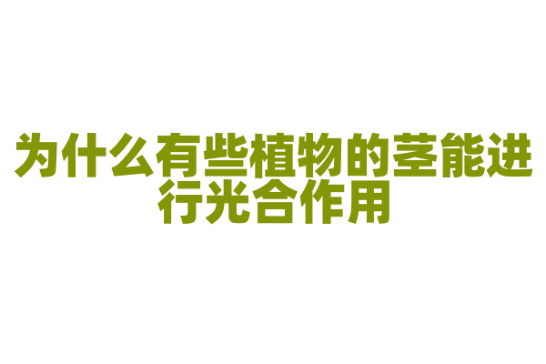 为什么有些植物的茎能进行光合作用？