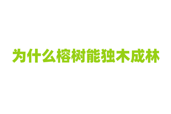 为什么榕树能独木成林？