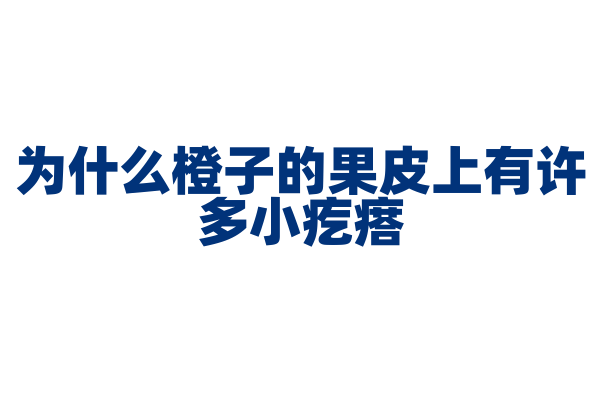 为什么橙子的果皮上有许多小疙瘩？