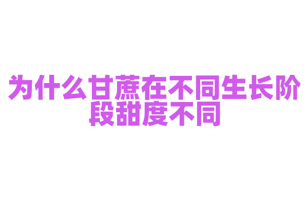 为什么甘蔗在不同生长阶段甜度不同？