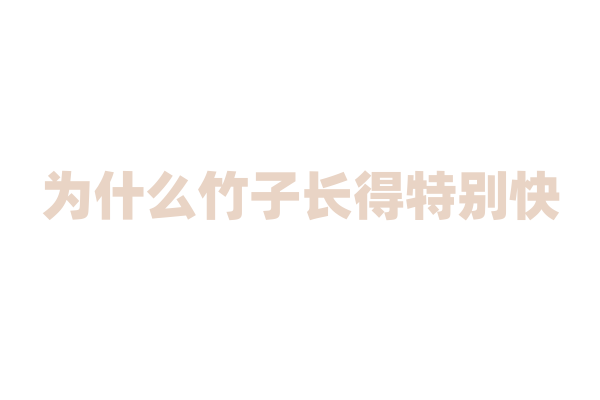 为什么竹子长得特别快？