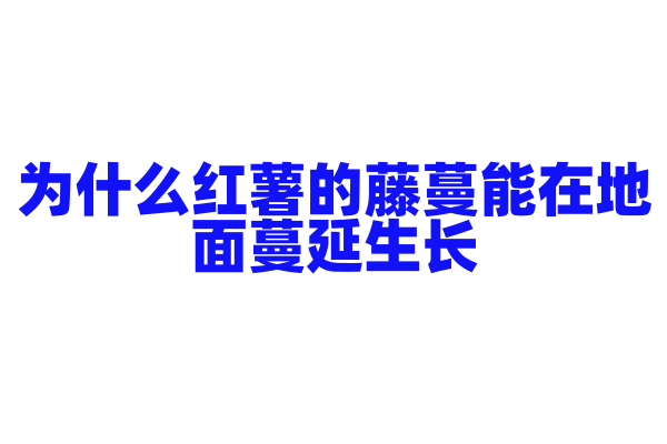 为什么红薯的藤蔓能在地面蔓延生长？