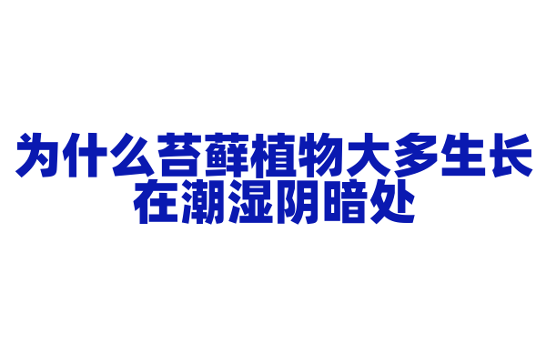 为什么苔藓植物大多生长在潮湿阴暗处？