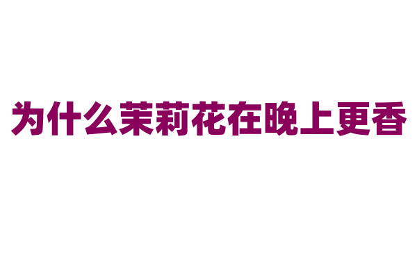 为什么茉莉花在晚上更香？