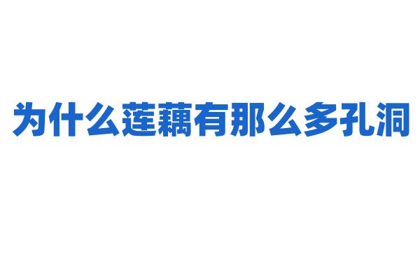 为什么莲藕有那么多孔洞？