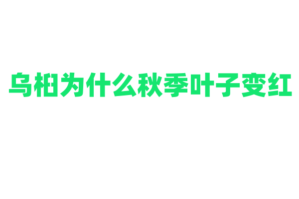 乌桕为什么秋季叶子变红，它的色素变化和环境适应机制是什么？
