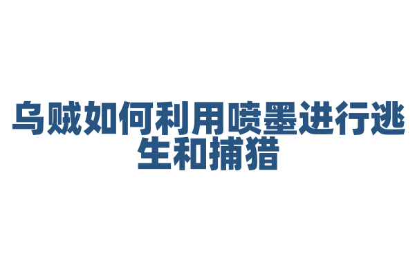 乌贼如何利用喷墨进行逃生和捕猎？