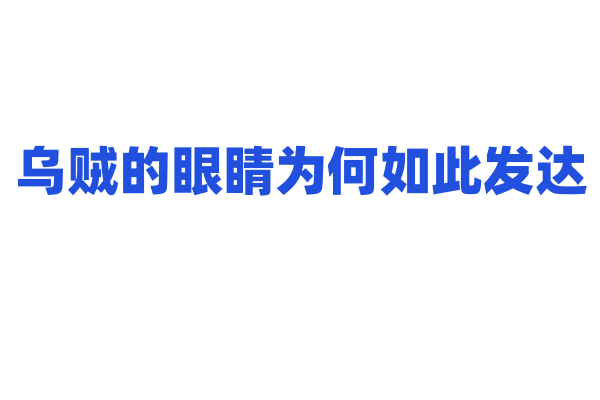 乌贼的眼睛为何如此发达？