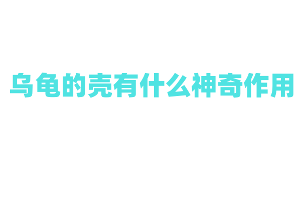 乌龟的壳有什么神奇作用？