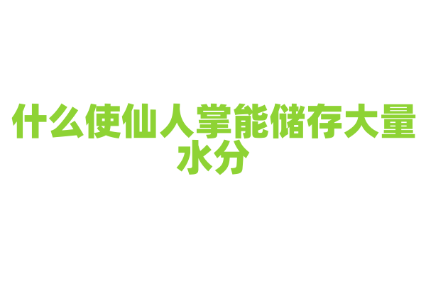 什么使仙人掌能储存大量水分？