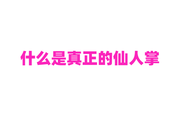 什么是真正的仙人掌？