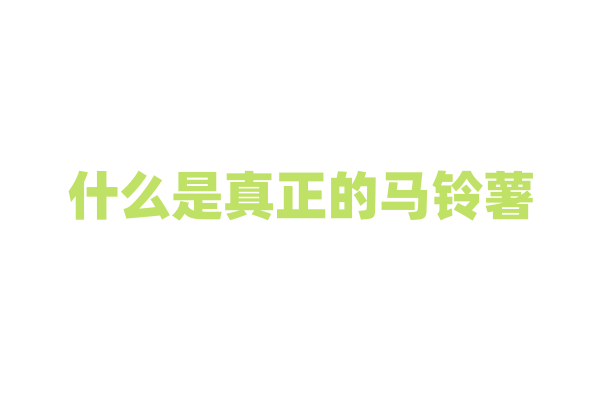 什么是真正的马铃薯？