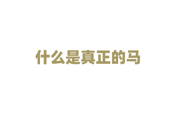 什么是真正的马？