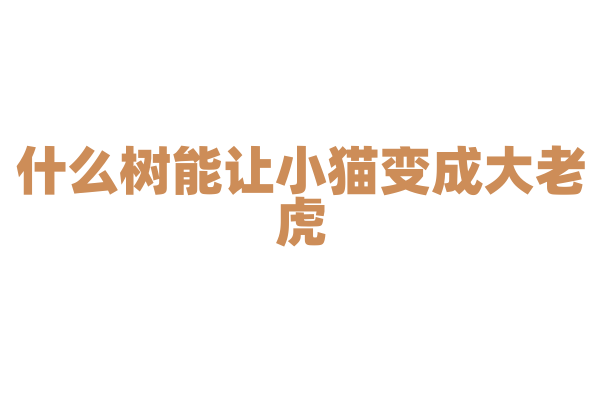 什么树能让小猫变成大老虎？