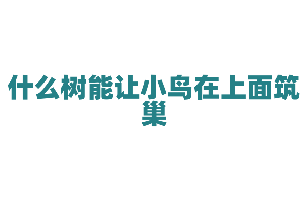 什么树能让小鸟在上面筑巢？