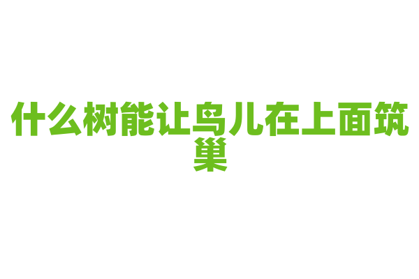 什么树能让鸟儿在上面筑巢？